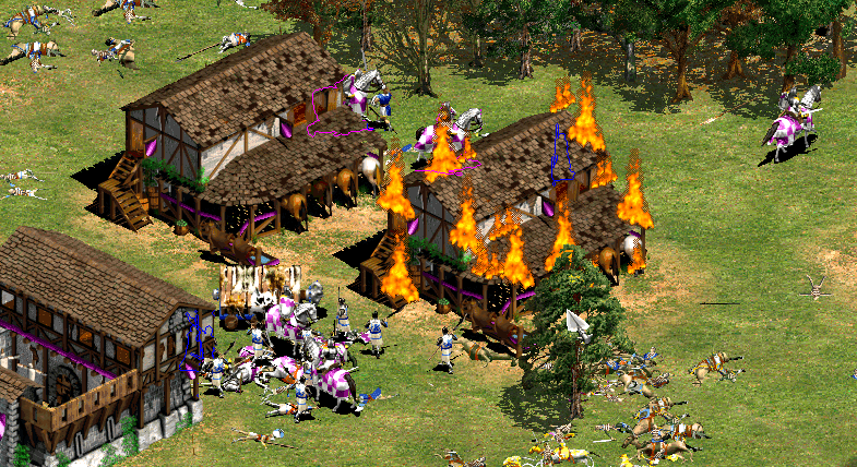 Age of empires 2 the conquerors