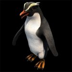 Penguin Icon in Age of Empires II