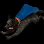 Stormy Dog Icon in Age of Empires II